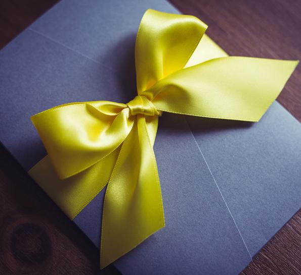 Colour Palette & Bow