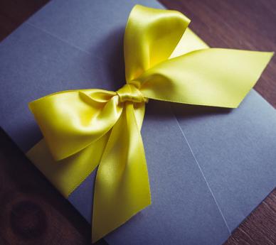 Colour Palette & Bow