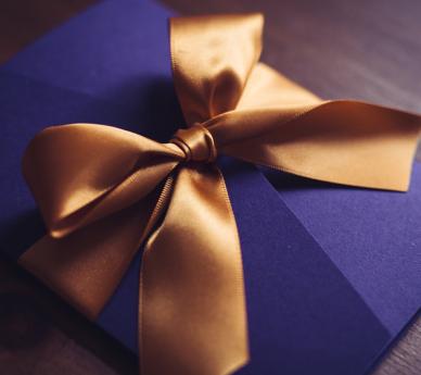 Colour Palette & Bow