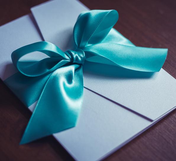 Colour Palette & Bow