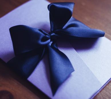 Colour Palette & Bow